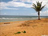 Playa Aviones - LOÍZA